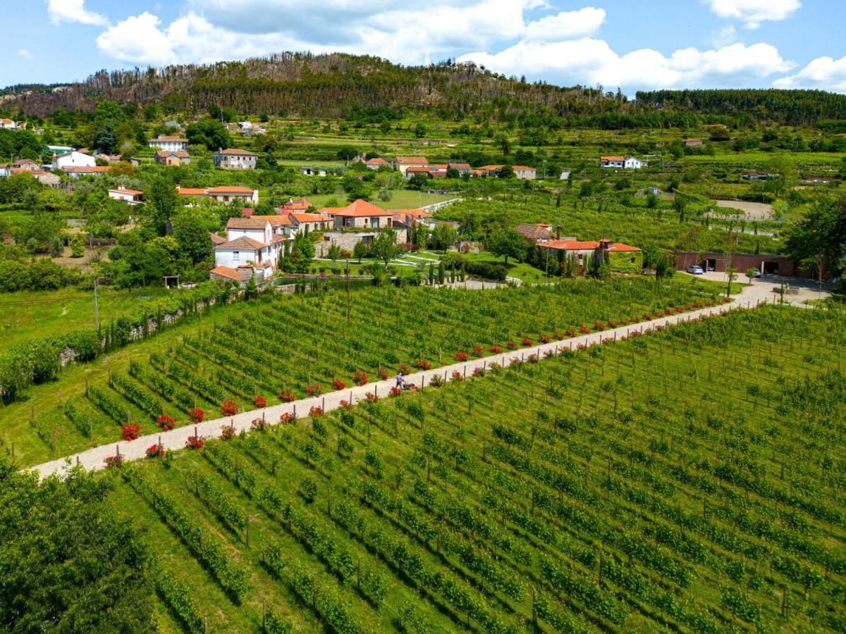 Ancede Lavandeira Douro Nature & Wellness מראה חיצוני תמונה