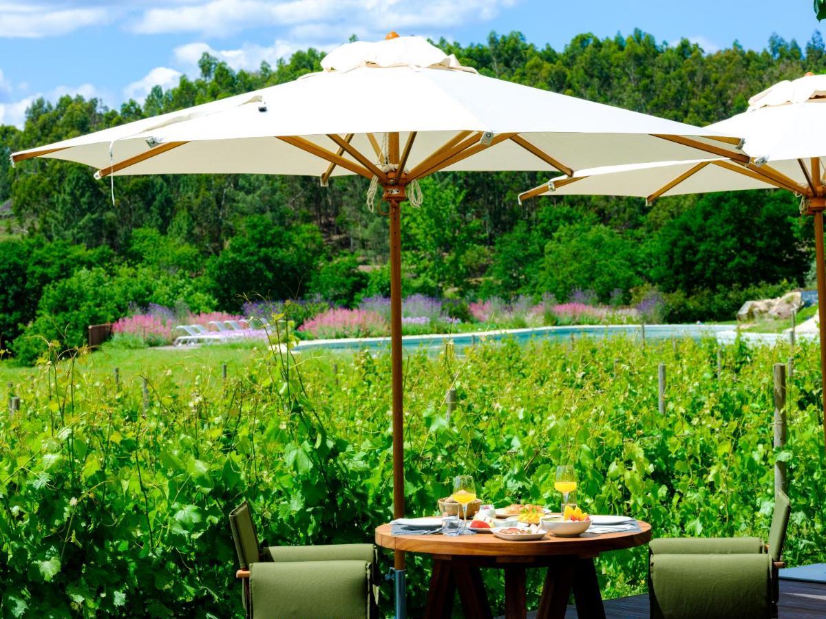 Ancede Lavandeira Douro Nature & Wellness מראה חיצוני תמונה