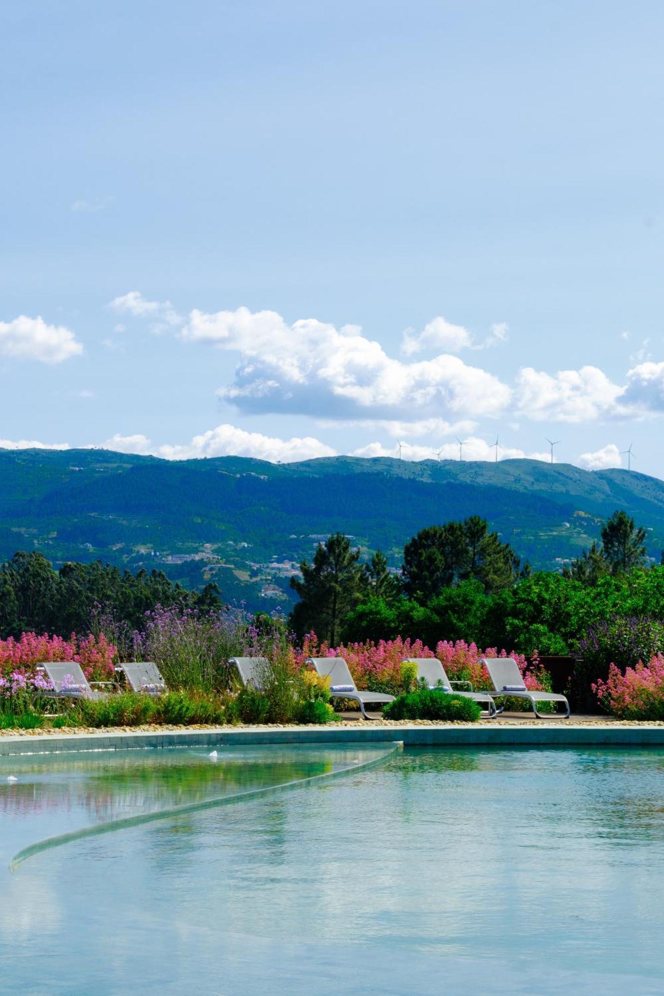 Ancede Lavandeira Douro Nature & Wellness מראה חיצוני תמונה