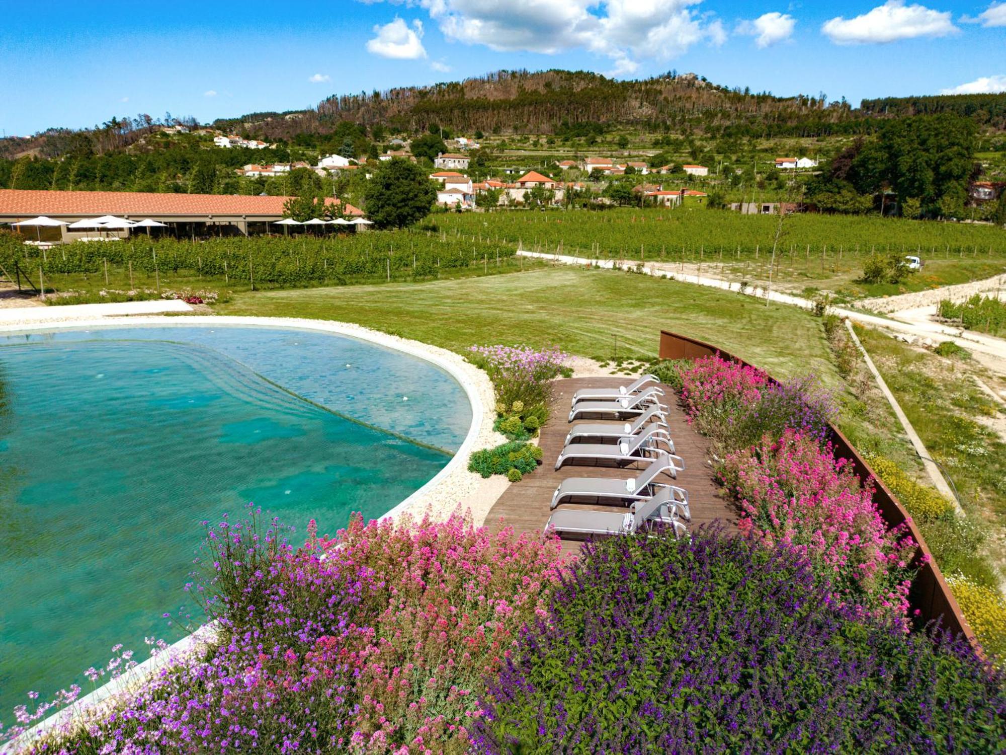 Ancede Lavandeira Douro Nature & Wellness מראה חיצוני תמונה