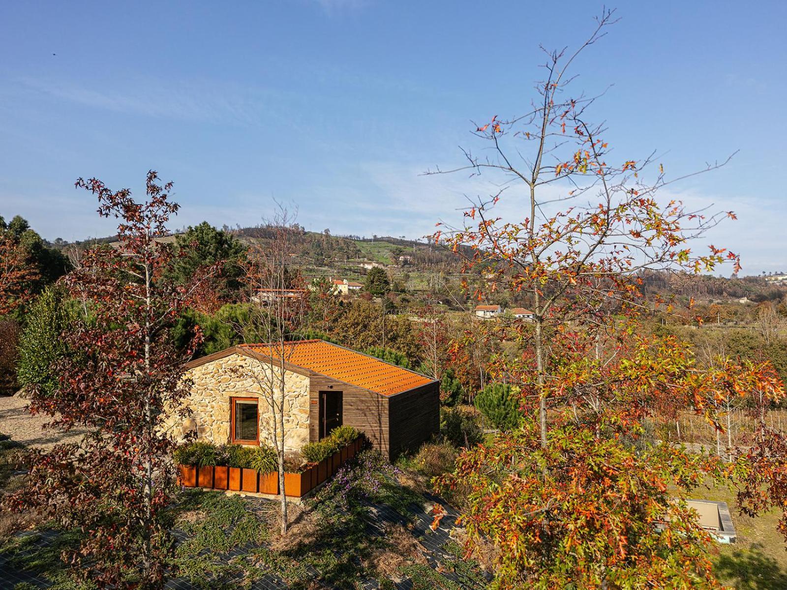Ancede Lavandeira Douro Nature & Wellness מראה חיצוני תמונה